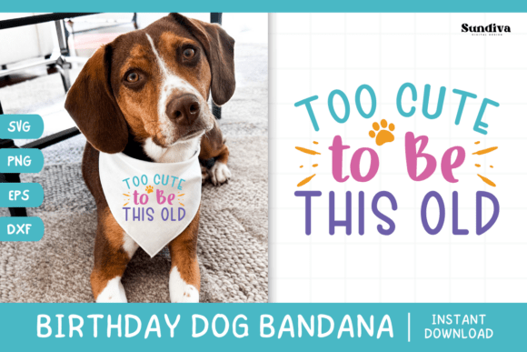 Cute Birthday Dog Bandana Quote SVG 1 for Graphics & Crafts
