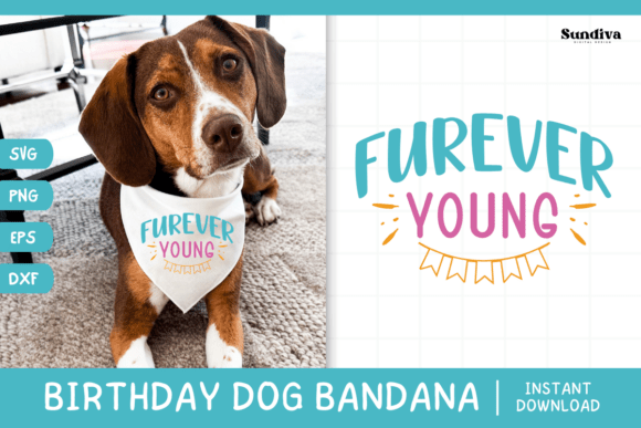 Cute Birthday Dog Bandana Quote SVG 13 Graphics & Crafts Review