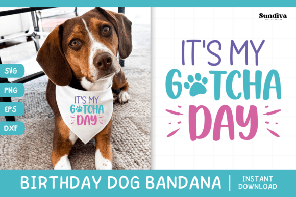 Cute Birthday Dog Bandana Quote SVG 8 Review