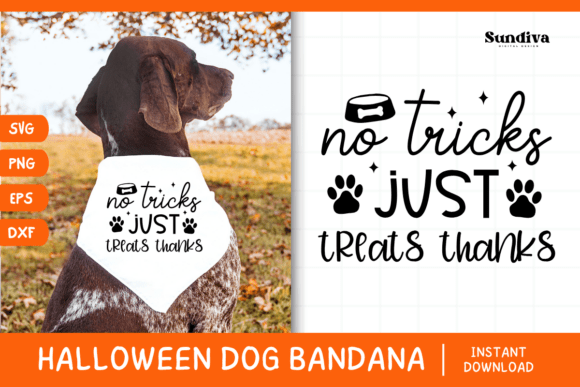 Funny Halloween Dog Bandana Quote SVG 10 Review