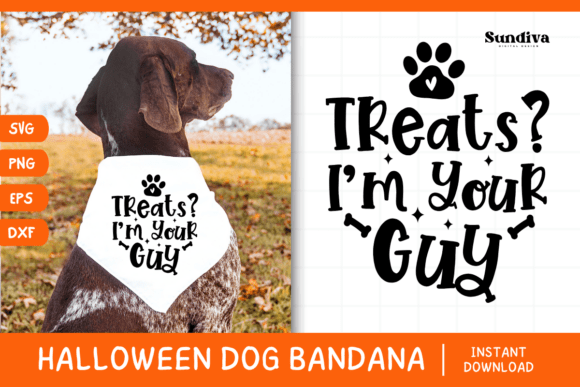 Funny Halloween Dog Bandana Quote SVG 3: A Crafts and Graphics Review